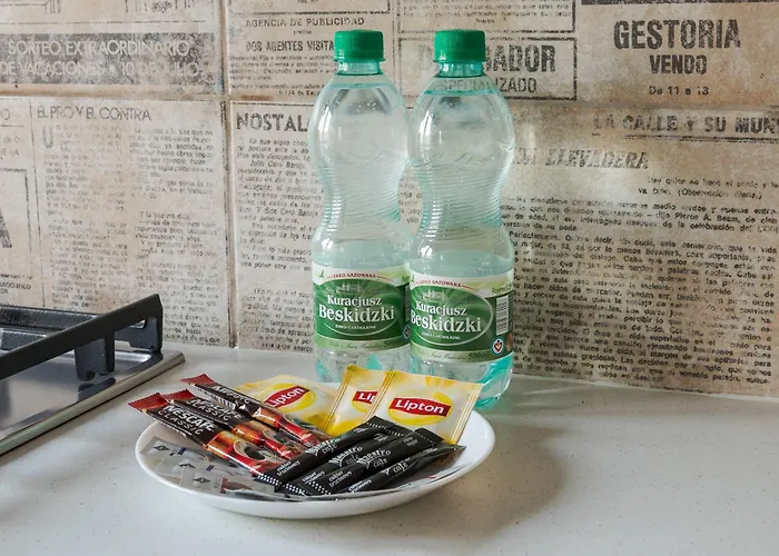 Apartment Elektoralna Charming By Bookinghost Warsaw